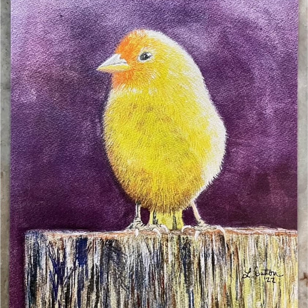 Vibrant Yellow and Purple Bird with Fluffy Body and Small Beak